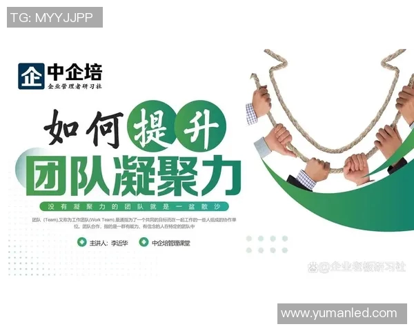 以教练为核心，构建高效团队：如何发挥教练引导作用提升团队绩效与凝聚力